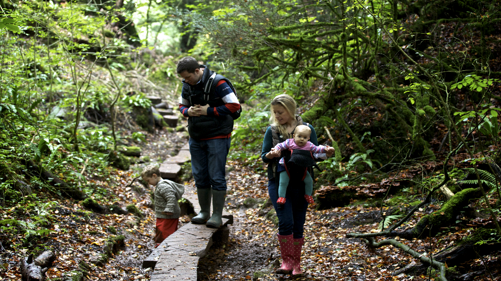 Visit Puzzlewood in Cheltenham